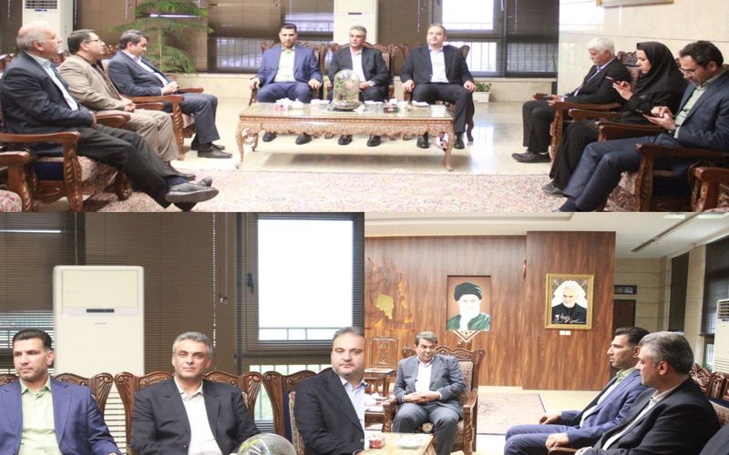 خانه هندبال با دستور استاندار در کرمان برپا می شود